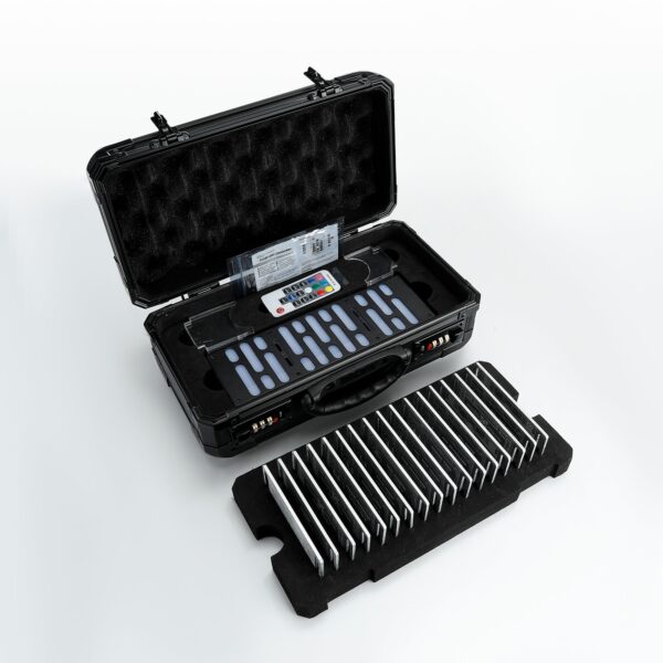 ISABER Saber Storage Case